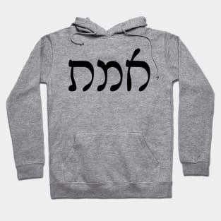 Emet - Truth (Rashi script) Hoodie